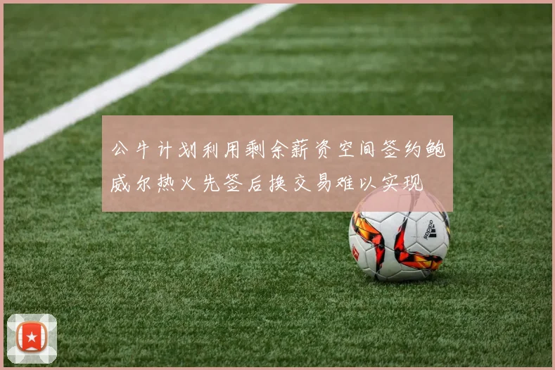 公牛计划利用剩余薪资空间签约鲍威尔热火先签后换交易难以实现